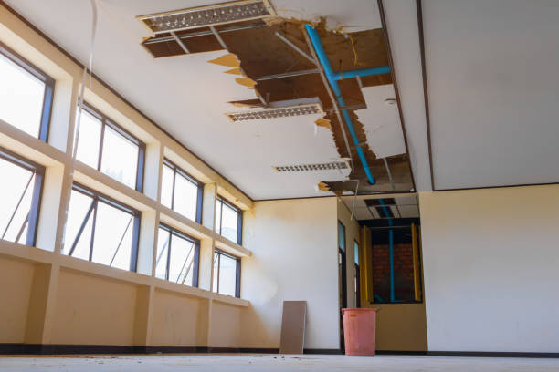 Best Water damage restoration insurance claims  in Hobbs, NM