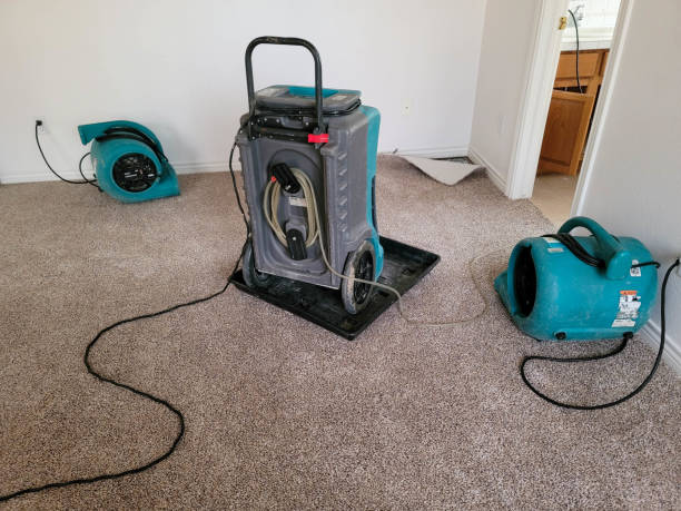 Best Flood restoration services  in Hobbs, NM