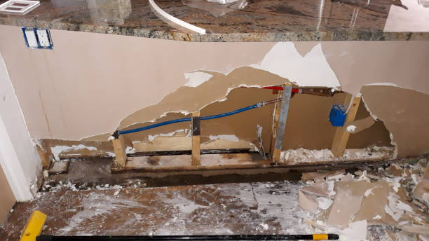 Best Water damage contractors near me  in Hobbs, NM