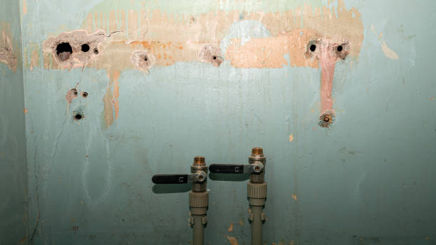 Trusted Hobbs, NM Water damage restoration Experts