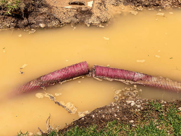Best Water damage cleanup near me  in Hobbs, NM